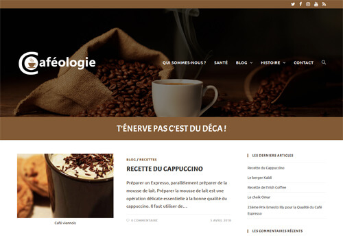 Capture d'écran de la page d'accueil du site Caféologie.