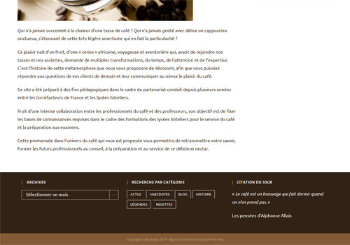 Capture d'écran du pied de page du site.
