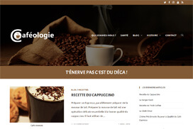 Capture d'écran de la page d'accueil du site Caféologie.